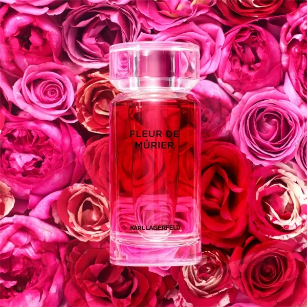 10 Best Valentine’s Day Perfumes For Women - Karl Lagerfeld Perfume